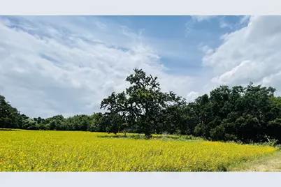 1037 Gonzollas Road, Springtown, TX 76082 - Photo 12