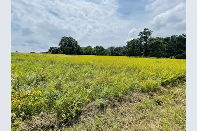 1037 Gonzollas Road, Springtown, TX 76082 - Photo 10