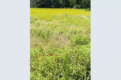 1037 Gonzollas Road, Springtown, TX 76082 - Photo 16