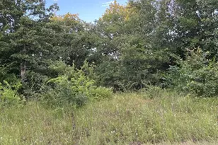 133 Pocahontas St, Mabank, TX 75156 - Photo 1