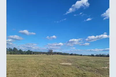 12403 Fm 1975 #Parcel A, Gilmer, TX 75644 - Photo 10