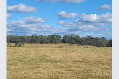 12403 Fm 1975 #Parcel A, Gilmer, TX 75644 - Photo 6