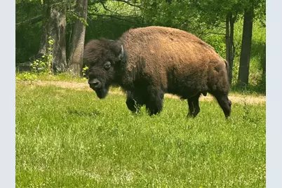 12403 Fm 1975 #Parcel A, Gilmer, TX 75644 - Photo 14