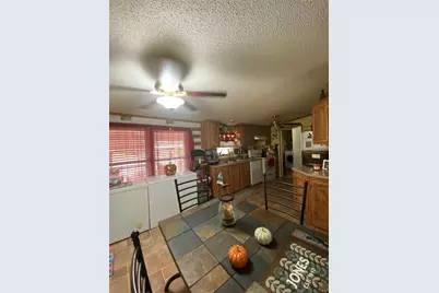 435 Gene Lee Road, Mineral Wells, TX 76067 - Photo 8