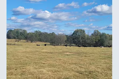 12403 Fm 1975 #Parcel G, Gilmer, TX 75644 - Photo 12