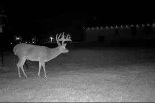 341 Dogwood Cir, Royse City, TX 75189 - Photo 36