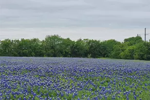 1810 Longbranch Rd, Waxahachie, TX 76065 - Photo 32