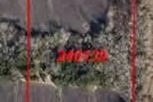 Tbd Cr 1114 County Road 1114, Farmersville, TX 75442 - Photo 1