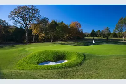 407 Whispering Pine Drive, Gordonville, TX 76245 - Photo 20