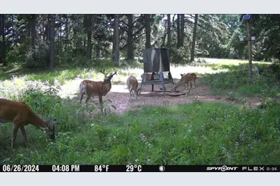 541 Fcr 240, Fairfield, TX 75840 - Photo 2