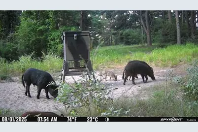 541 Fcr 240, Fairfield, TX 75840 - Photo 16