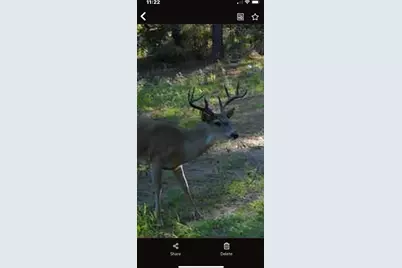 541 Fcr 240, Fairfield, TX 75840 - Photo 20