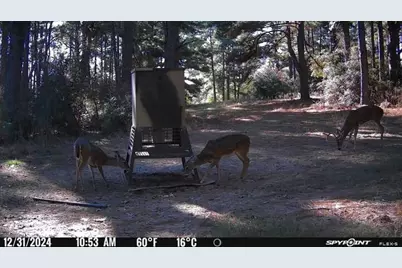 541 Fcr 240, Fairfield, TX 75840 - Photo 14