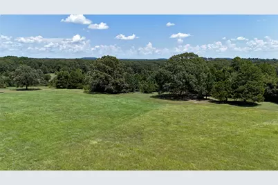 Tbd Lee Drive, Murchison, TX 75778 - Photo 4
