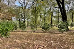 4512 FM114, Avery, TX 75554 - Photo 2