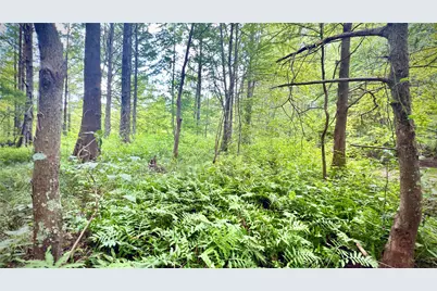 0 Winn School Road, Hosston, LA 71043 - Photo 14