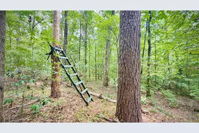 0 Winn School Road, Hosston, LA 71043 - Photo 12