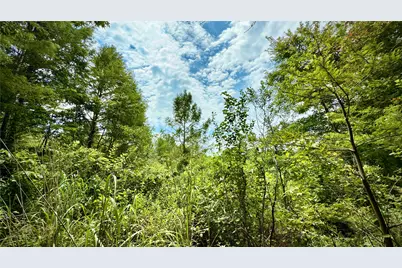 0 Winn School Road, Hosston, LA 71043 - Photo 4