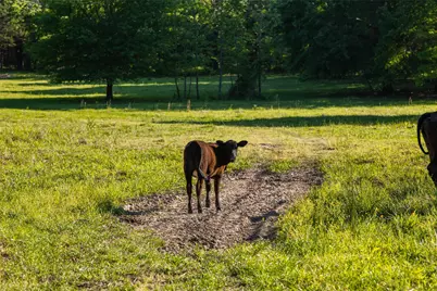 0 County Road 2402, Canton, TX 75103 - Photo 34