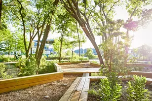 9343 Spindletree Dr, Frisco, TX 75035 - Photo 26