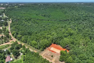 1249 County Road 4102, Jacksonville, TX 75766 - Photo 10