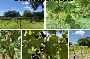 1933 Vzcr 2721, Mabank, TX 75147 - Photo 40