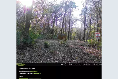 Tbd 3rd Street, Pottsboro, TX 75076 - Photo 30