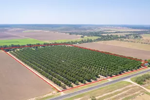 4155 W US Hwy 190, San Saba, TX 76877 - Photo 2