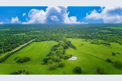 Tbd Fm 2194, Celeste, TX 75423 - Photo 16