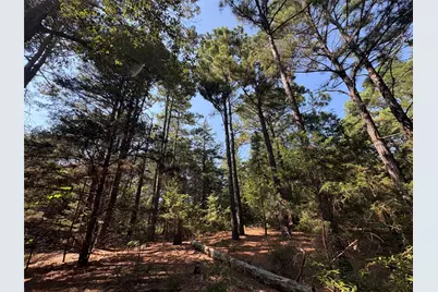 Tbd Fm 69 #Tract 2, Como, TX 75431 - Photo 1