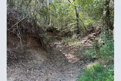 Tbd Fm 69 #Tract 2, Como, TX 75431 - Photo 4