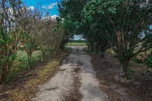 7248 Farm Rd 275 S, Cumby, TX 75433 - Photo 2