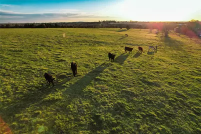 Tbd Schneider Rd Road, Howe, TX 75459 - Photo 10