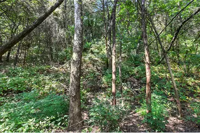 1917 Juniper Ridge Road, Cedar Hill, TX 75104 - Photo 26