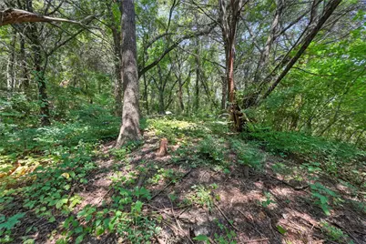 1917 Juniper Ridge Road, Cedar Hill, TX 75104 - Photo 18