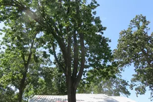 2103 Wildwood Way, Tool, TX 75143 - Photo 30