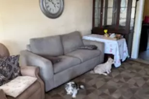 3233 Evans Ave, Fort Worth, TX 76110 - Photo 2