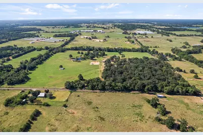 Tbd Cr 2400 18 Ac, Pickton, TX 75471 - Photo 10