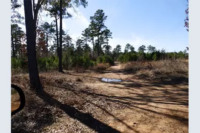 20175 S Hwy 155 Lot E1, Flint, TX 75762 - Photo 30