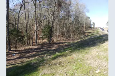 20175 S Hwy 155 Lot E1, Flint, TX 75762 - Photo 32