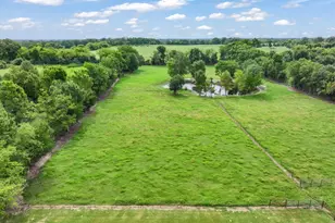 3399 Vz County Road 1110 Rd, Grand Saline, TX 75140 - Photo 6