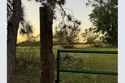 Tbd Fm-1651, Canton, TX 75103 - Photo 4