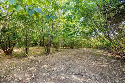 2405 Meadow Lane, Grand Prairie, TX 75050 - Photo 34