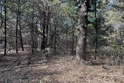 Tbd8 County Road 141, Callisburg, TX 76240 - Photo 12