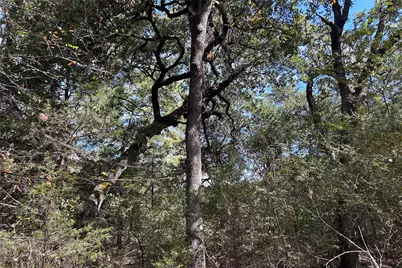 Tbd8 County Road 141, Callisburg, TX 76240 - Photo 8