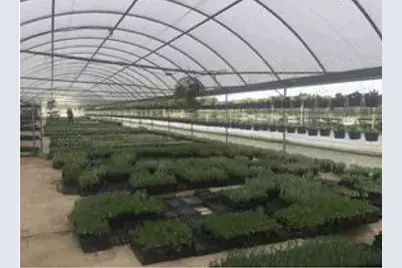 7193 Old Talley Rd Trlr 7 Road, San Antonio, TX 78253 - Photo 4