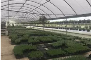 7193 Old Talley Rd Trlr 7 Rd, San Antonio, TX 78253 - Photo 4