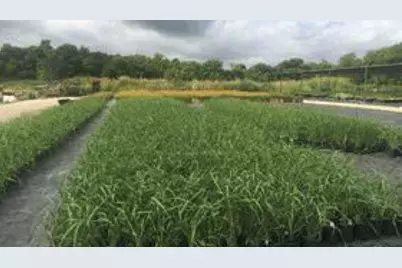 7193 Old Talley Rd Trlr 7 Road, San Antonio, TX 78253 - Photo 12