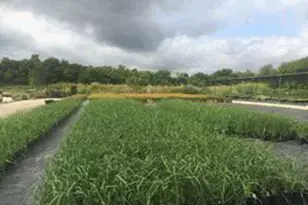 7193 Old Talley Rd Trlr 7 Rd, San Antonio, TX 78253 - Photo 12