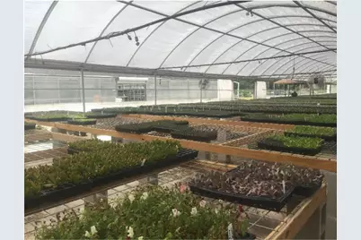 7193 Old Talley Rd Trlr 7 Road, San Antonio, TX 78253 - Photo 8